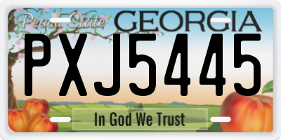GA license plate PXJ5445