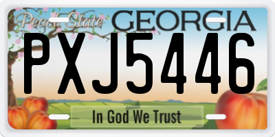 GA license plate PXJ5446