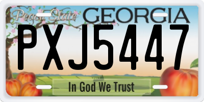 GA license plate PXJ5447