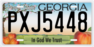 GA license plate PXJ5448