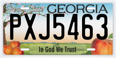GA license plate PXJ5463