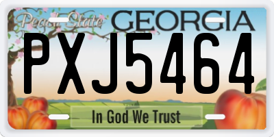 GA license plate PXJ5464