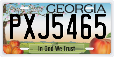 GA license plate PXJ5465