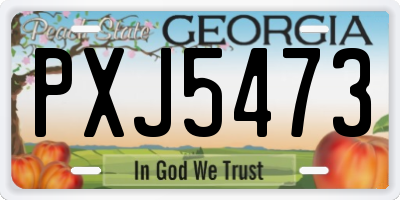 GA license plate PXJ5473