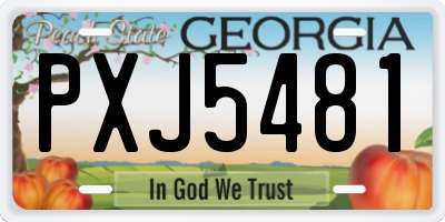 GA license plate PXJ5481