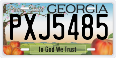 GA license plate PXJ5485