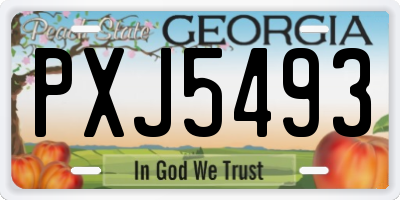 GA license plate PXJ5493