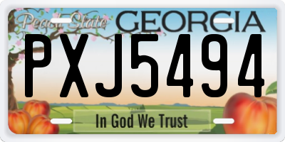 GA license plate PXJ5494