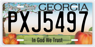 GA license plate PXJ5497