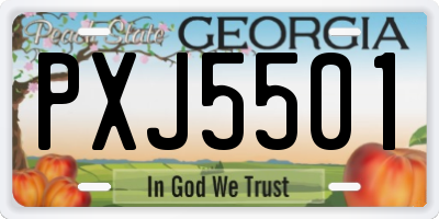 GA license plate PXJ5501