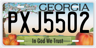GA license plate PXJ5502