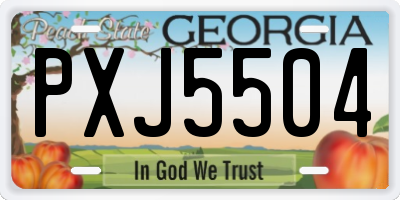 GA license plate PXJ5504
