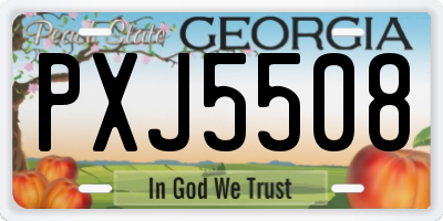 GA license plate PXJ5508