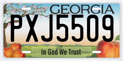 GA license plate PXJ5509