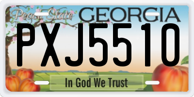 GA license plate PXJ5510