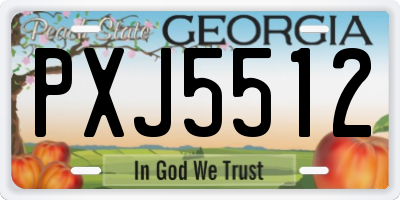 GA license plate PXJ5512