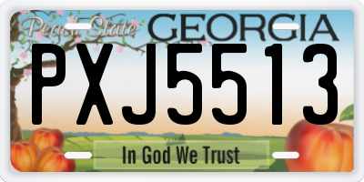 GA license plate PXJ5513