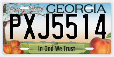 GA license plate PXJ5514