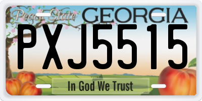 GA license plate PXJ5515