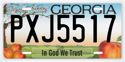 GA license plate PXJ5517