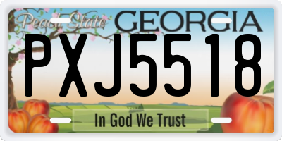 GA license plate PXJ5518