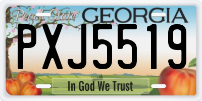 GA license plate PXJ5519