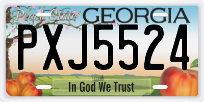 GA license plate PXJ5524