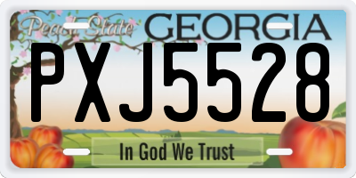 GA license plate PXJ5528