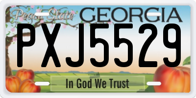 GA license plate PXJ5529