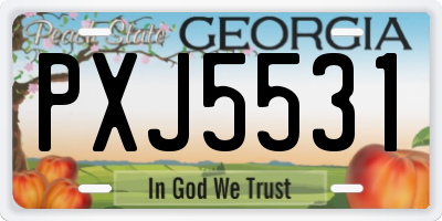 GA license plate PXJ5531