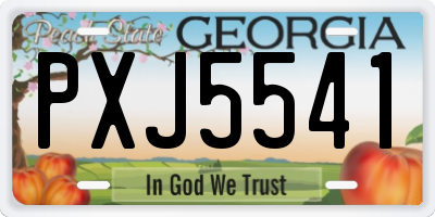 GA license plate PXJ5541