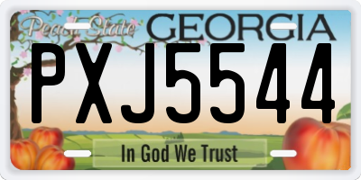 GA license plate PXJ5544