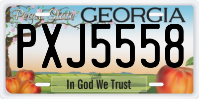 GA license plate PXJ5558