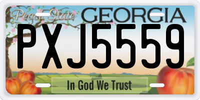 GA license plate PXJ5559