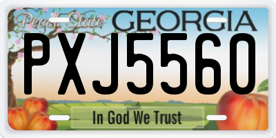 GA license plate PXJ5560
