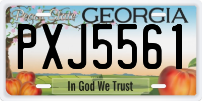 GA license plate PXJ5561