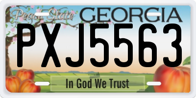 GA license plate PXJ5563