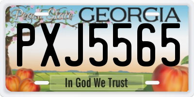 GA license plate PXJ5565