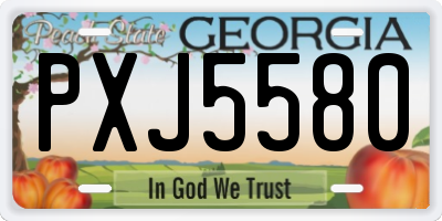 GA license plate PXJ5580