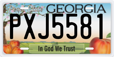 GA license plate PXJ5581