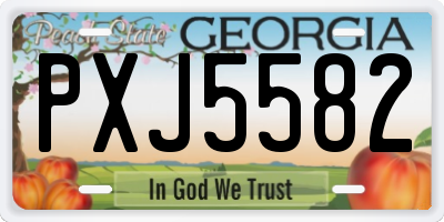 GA license plate PXJ5582