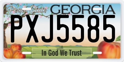 GA license plate PXJ5585