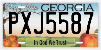 GA license plate PXJ5587