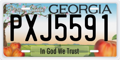 GA license plate PXJ5591