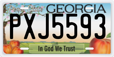 GA license plate PXJ5593