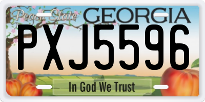 GA license plate PXJ5596