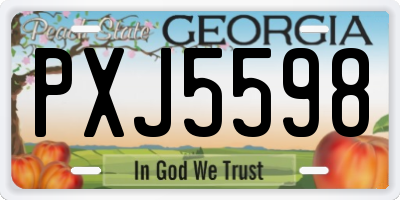 GA license plate PXJ5598
