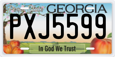 GA license plate PXJ5599