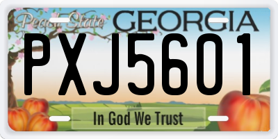 GA license plate PXJ5601