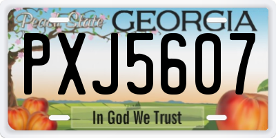 GA license plate PXJ5607